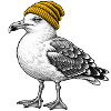 Möwe mit Gelber Mütze