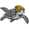 Schildkröte in Strickmütze