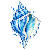 Blaue Muschel Wasserfarbenbild