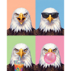 Eagle Adler