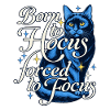 Hokus Fokus