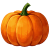 Herbstkürbis