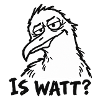 IS WATT? – Misstrauische Möwe
