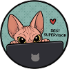 Beste Supervisor Katze - Sphynx Cat 