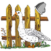 Gans