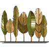 Baum