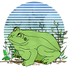 Frosch