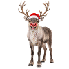 Rentier mit Weihnachtsmütze Rudolf