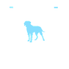 Hundetrainer