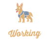 Hundetrainer