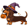 Dackel Hexenhut Halloween