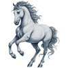 Pferd