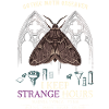 Gothic Moth Observer: Strange Hours