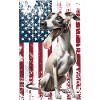 Whippet US Windhund