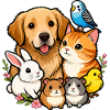 Bunte Tierfreunde 🐶🐱🐰🐹🐥🦜