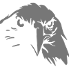 Greifvogel