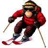 Ski Chimp