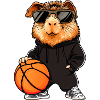 Basketball Meerschweinchen