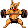 Trainer Hund