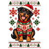 Weihnachtshund im SkandiPullover