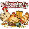 Hühnerhalter Hühnerhaltung Hühner Humor