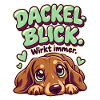 Dackelblick Wirkt immer