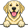 Labrador