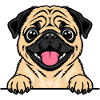 Mops
