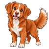 Nova Scotia Retriever Kawaii Style