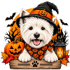 West Highland Terrier mit Halloween-Hut