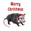 Merry Christmas Opossum - Mit Weihnachtsmütze