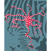 Rot Weißer Oktopus