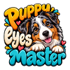 Australian Shepherd
