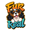 Kavallerier King Charles Spaniel