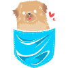 Pekinese