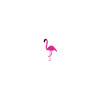 Flamingo im Herzschlag