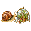 Schnecke mit kleinem Gewächshaus