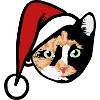 Calico-Katze im Weihnachtshut