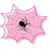 Spinne