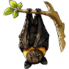 Nachtfledermaus am Ast