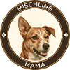 Mischlings-Mama Porträt