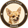 Chihuahua-Mama Porträt