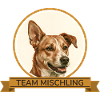 Team Mischling