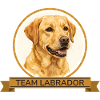Team Labrador Retriever