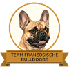 Team Französische Bulldogge