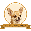 Team Chihuahua