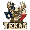 Texas Hirsch Flagge