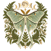 Lunafalter mit Mondphasen