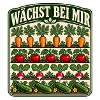 Wächst bei mir Gemüse aus dem Garten