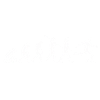 Evolution Fußball
